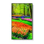 NEC 43" Ultra High Definition Professional Display (M Series)