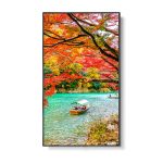 NEC Wide Color Gamut Ultra High Definition Professional Display