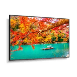 NEC Wide Color Gamut Ultra High Definition Professional Display
