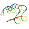 SOGA 2X 220cm Multifunction Hands-Free Rope Pet Cat Dog Puppy Double Ended Leash for Walking Training Tracking Obedience Rainbow