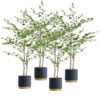 SOGA 4X 150cm Green Artificial Indoor Watercress Tree Fake Plant Simulation Decorative