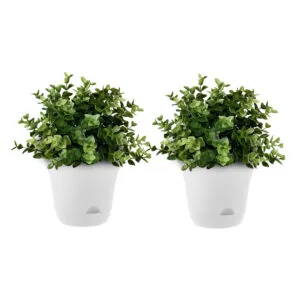 SOGA 20cm White Plastic Plant Pot Self Watering Planter Flower Bonsai Indoor Outdoor Garden Decor Set of 2