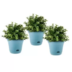 SOGA 20cm Blue Plastic Plant Pot Self Watering Planter Flower Bonsai Indoor Outdoor Garden Decor Set of 3