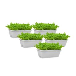 SOGA 49.5cm White Rectangular Planter Vegetable Herb Flower Outdoor Plastic Box with Holder Balcony Garden Decor Set of 5