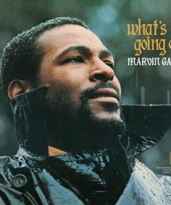 Marvin Gaye What'S Going On - Vinyl Album