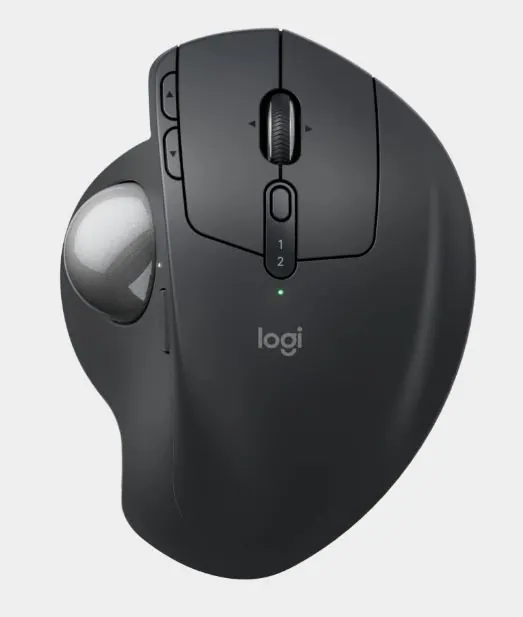 Mouse