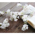 3-SOGA 10X Artificial Silk Flower Fake Cherry Blossom Bouquet Table Decor White