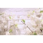 8-SOGA 10X Artificial Silk Flower Fake Cherry Blossom Bouquet Table Decor White