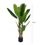 6-SOGA 220cm Banna Plant Bird of Paradise Tree Artificial Plant Home Accent Decor