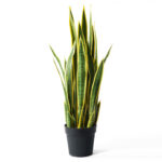 1-SOGA 50cm Artificial Indoor Yellow Edge Tiger Piran Fake Decoration Tree Flower Pot Plant
