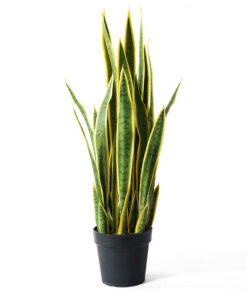 1-SOGA 50cm Artificial Indoor Yellow Edge Tiger Piran Fake Decoration Tree Flower Pot Plant