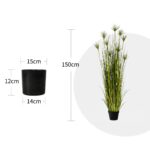 Home Or Office Indoor Greenery Accent