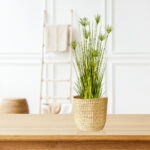 4-SOGA 2X 150cm Cyperus Papyrus Plant Tree Artificial Green Grass