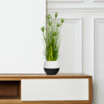 Home Or Office Indoor Greenery Accent
