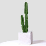 3-SOGA 95cm Green Artificial Indoor Cactus Tree Fake Plant Simulation Decorative 2 Heads