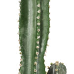 4-SOGA 95cm Green Artificial Indoor Cactus Tree Fake Plant Simulation Decorative 2 Heads