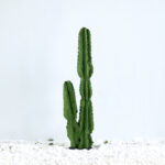 5-SOGA 95cm Green Artificial Indoor Cactus Tree Fake Plant Simulation Decorative 2 Heads