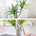 7-SOGA 180cm Green Artificial Indoor Brazlian Iron Tree Fake Plant Decorative 3 Heads