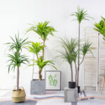 8-SOGA 180cm Green Artificial Indoor Brazlian Iron Tree Fake Plant Decorative 3 Heads