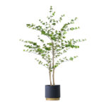 1-SOGA 180cm Green Artificial Indoor Watercress Tree Fake Plant Simulation Decorative