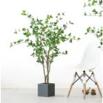 5-SOGA 2X 180cm Green Artificial Indoor Watercress Tree Fake Plant Simulation Decorative