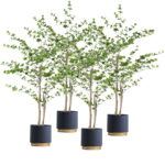 1-SOGA 4X 180cm Green Artificial Indoor Watercress Tree Fake Plant Simulation Decorative
