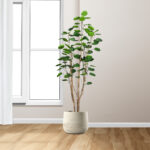 4-SOGA 180cm Plastic Potted Polyscias Scutellaria Plant Home Garden Artificial Tree
