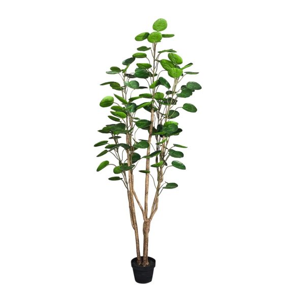 1-SOGA 180cm Plastic Potted Polyscias Scutellaria Plant Home Garden Artificial Tree