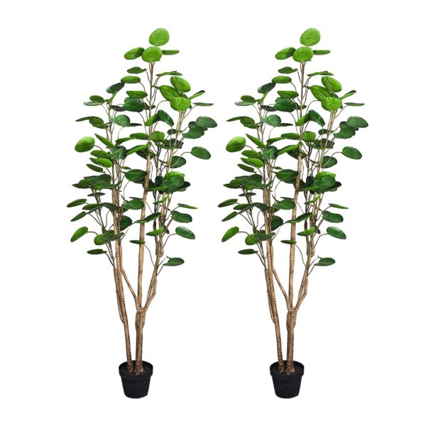 1-SOGA 2X 180cm Plastic Potted Polyscias Scutellaria Plant Home Garden Artificial Tree