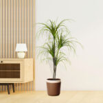 4-SOGA 150cm Artificial Dracaena Plant Fake Potted