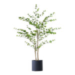 1-SOGA 150cm Green Artificial Indoor Watercress Tree Fake Plant Simulation Decorative
