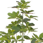 5-SOGA 120cm Artificial Natural Green Schefflera Dwarf Umbrella Tree Fake Tropical Indoor Plant Home Office Decor
