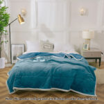 2-SOGA 2X Lake Blue Throw Blanket Warm Cozy Double Sided Thick Flannel Coverlet Fleece Bed Sofa Comforter