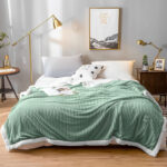 3-SOGA 2X Light Green Throw Blanket Warm Cozy Double Sided Thick Flannel Coverlet Fleece Bed Sofa Comforter
