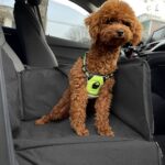 3-SOGA 2X Black Car Pet Sitting Bag Breathable Safety Travel Portable Carrier Pouch Travel Essentials