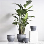 3-SOGA 32cm Weathered Grey Round Resin Plant Flower Pot in Cement Pattern Planter Cachepot for Indoor Home Office