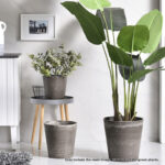3-SOGA 27cm Rock Grey Round Resin Plant Flower Pot in Cement Pattern Planter Cachepot for Indoor Home Office