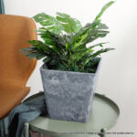5-SOGA 27cm Weathered Grey Square Resin Plant Flower Pot in Cement Pattern Planter Cachepot for Indoor Home Office