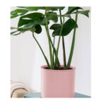 6-SOGA 80cm Tripod Flower Pot Plant Stand with Pink Flowerpot Holder Rack Indoor Display