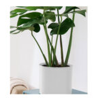 6-SOGA 80cm Tripod Flower Pot Plant Stand with White Flowerpot Holder Rack Indoor Display