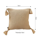 Rizzy Transitional Cover Throw Pillow