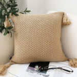 Rizzy Transitional Cover Throw Pillow