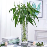 4-SOGA 30cm Sleek Clear Glass Vase Elegant Wide Crystal Design for Modern Home D?cor