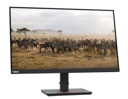 Monitors