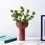 2-SOGA 2X 15x19.5cm Ornament Minimalist Nordic Versatile Ceramic Vase Modern Luxury Decorative for Home Decor