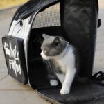 4-SOGA Black Pet Carrier Backpack Breathable Mesh Portable Safety Travel Essentials Outdoor Bag