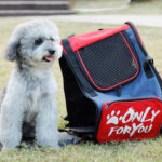 2-SOGA 2X Red Pet Carrier Backpack Breathable Mesh Portable Safety Travel Essentials Outdoor Bag