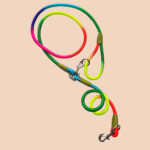 4-SOGA 220cm Multifunction Hands-Free Rope Pet Cat Dog Puppy Double Ended Leash for Walking Training Tracking Obedience Rainbow