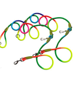 1-SOGA 2X 220cm Multifunction Hands-Free Rope Pet Cat Dog Puppy Double Ended Leash for Walking Training Tracking Obedience Rainbow