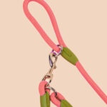 6-SOGA 220cm Multifunction Hands-Free Rope Pet Cat Dog Puppy Double Ended Leash for Walking Training Tracking Obedience Pink